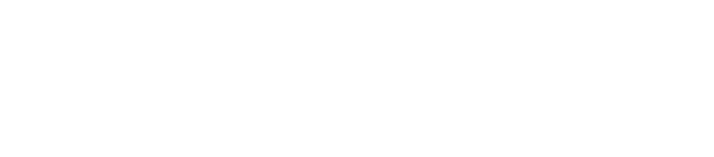 Smartic